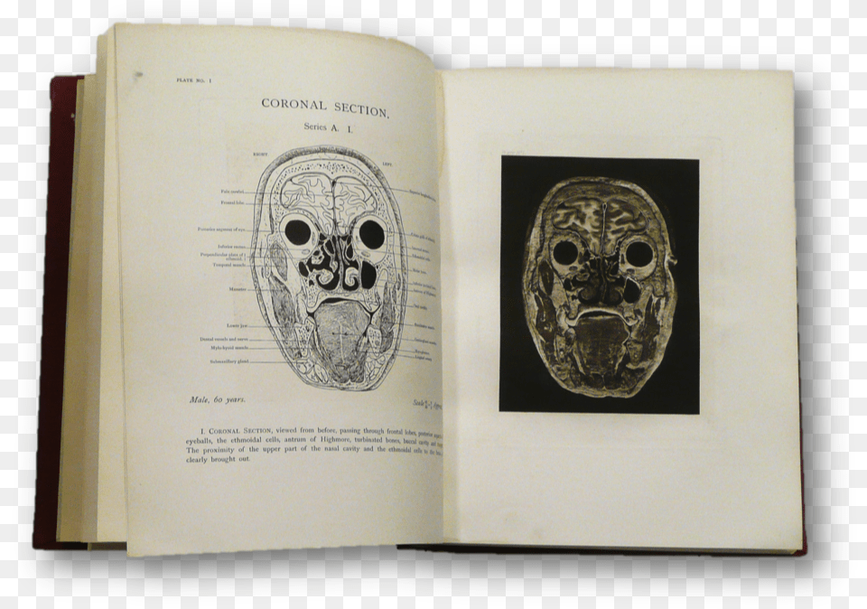 Sappol 9 Skull, Book, Publication, Page, Text Png