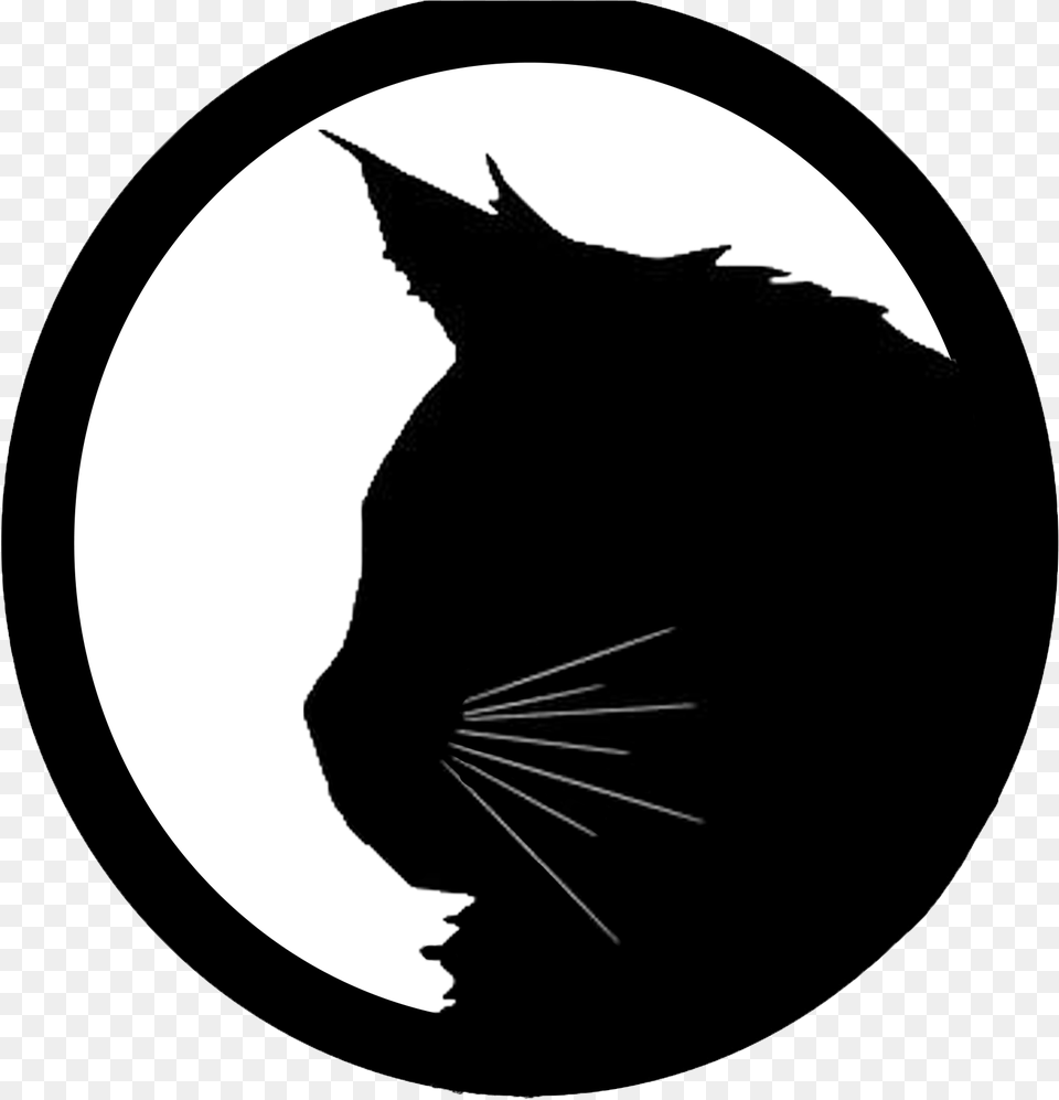 Sara Sims Black Cat, Animal, Mammal, Pet Free Png