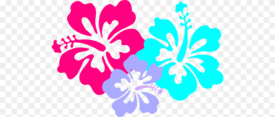 Sarah Clipart Gallery Images, Flower, Hibiscus, Plant Free Png