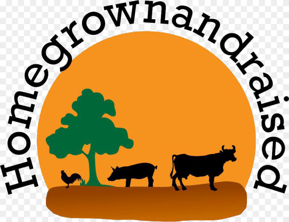 Saraswati Maa Logo For School Dairy Cow, Animal, Mammal, Pig, Bull Free Transparent Png