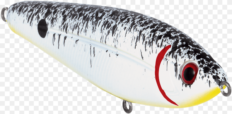 Sardine, Animal, Fish, Sea Life, Fishing Lure Free Png