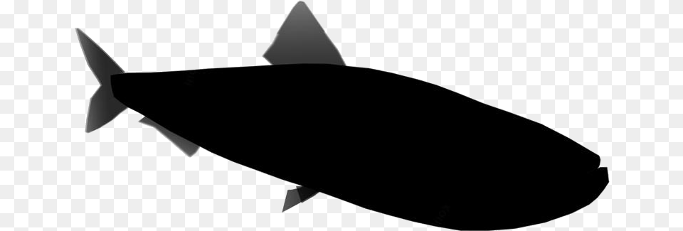 Sardine Transparent Shark, Aircraft, Airplane, Transportation, Vehicle Png Image