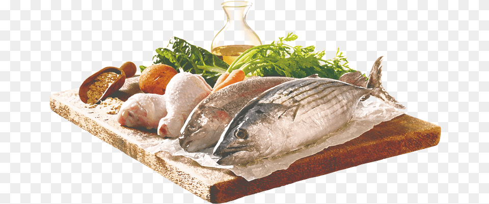 Sardines, Animal, Fish, Sea Life, Tuna Free Png