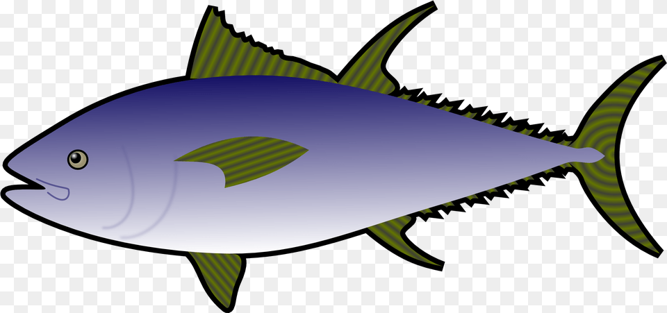 Sardines Clipart Atlantic Tuna Clipart, Animal, Bonito, Fish, Sea Life Png Image