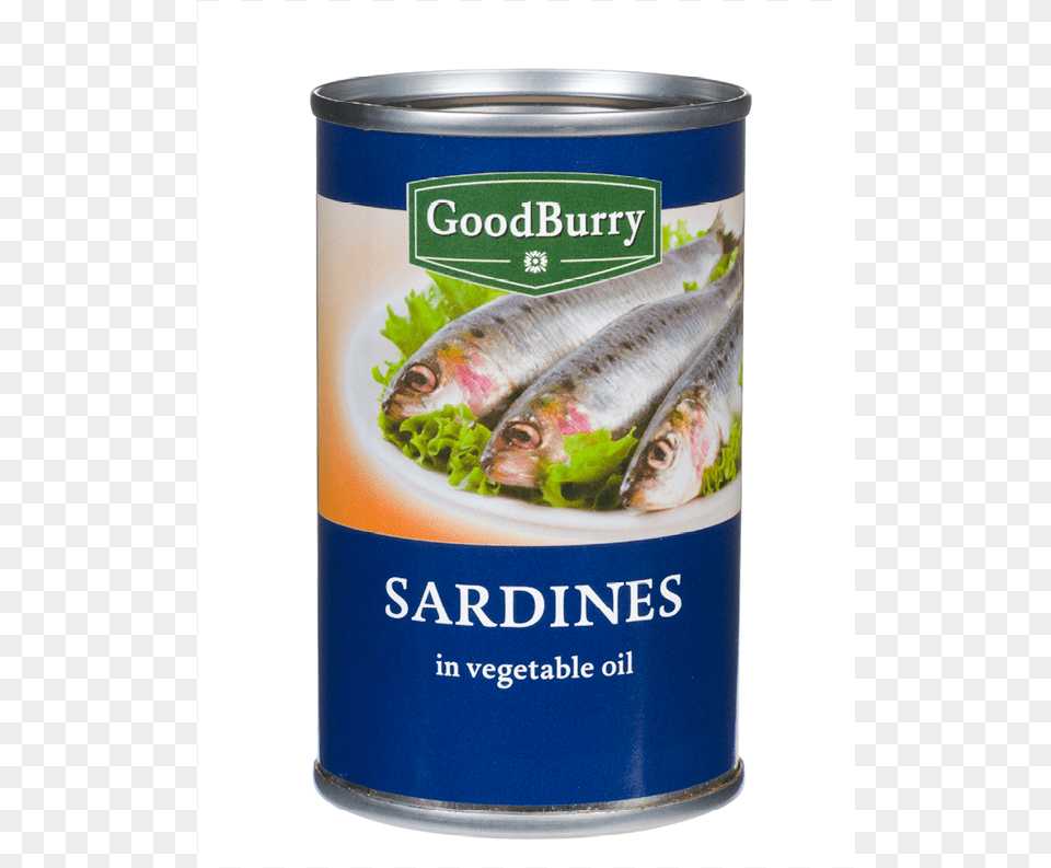 Sardines In Oil Goodburry, Tin, Animal, Fish, Sea Life Png
