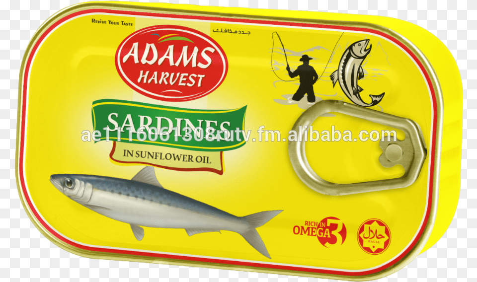 Sardines In Sunflower Oil 125 Gm Eoe Sardine, Animal, Fish, Sea Life, Person Free Png Download