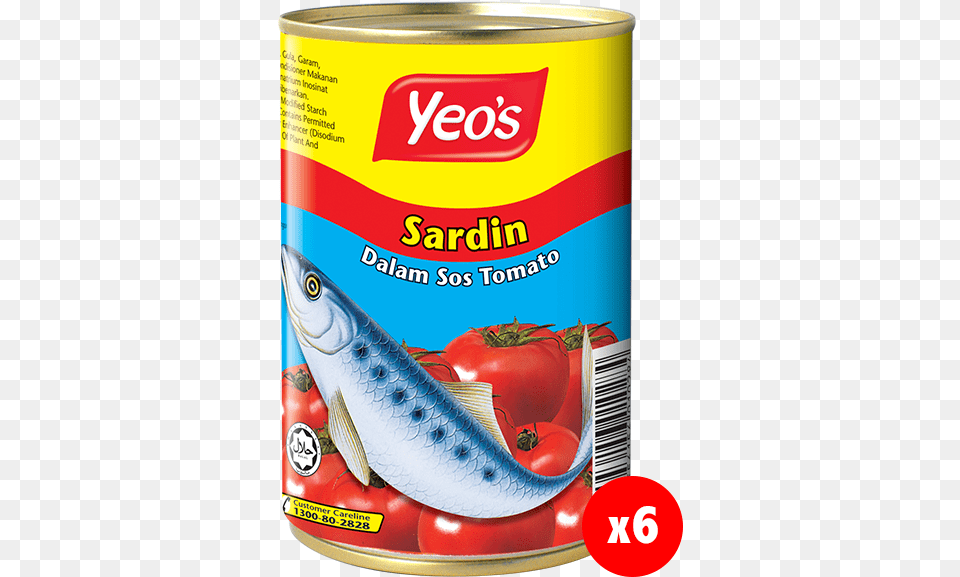 Sardines In Tomato Sauce, Aluminium, Tin, Can, Canned Goods Free Png