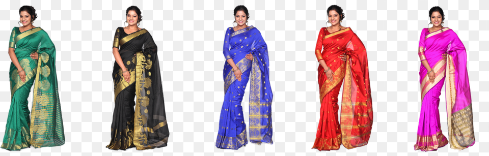 Sari, Adult, Silk, Person, Woman Free Png