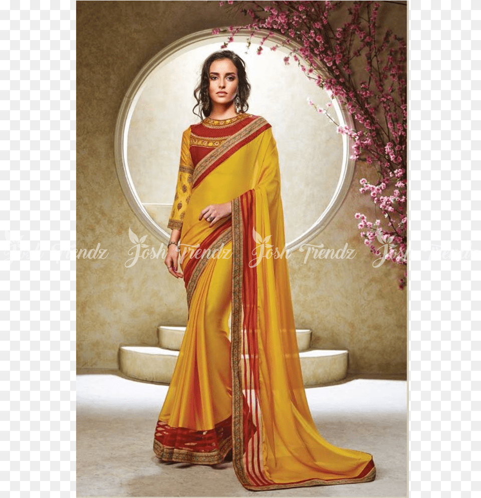 Sari, Silk, Adult, Clothing, Female Free Png Download