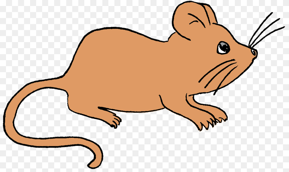 Sartoon Mouse Clipart, Animal, Mammal, Fish, Sea Life Free Png