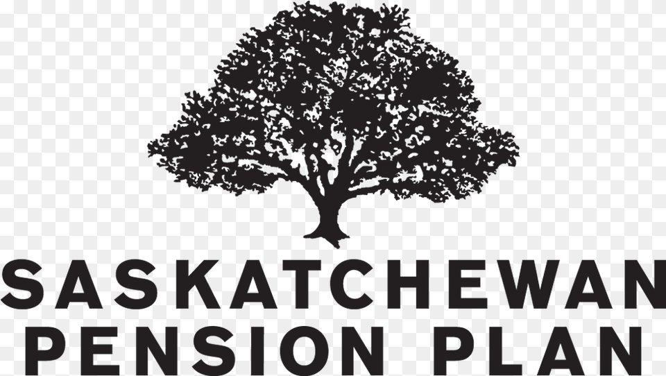 Saskatchewan Pension Plan Saskatchewan Pension Plan Logo, Oak, Plant, Tree, Sycamore Free Png