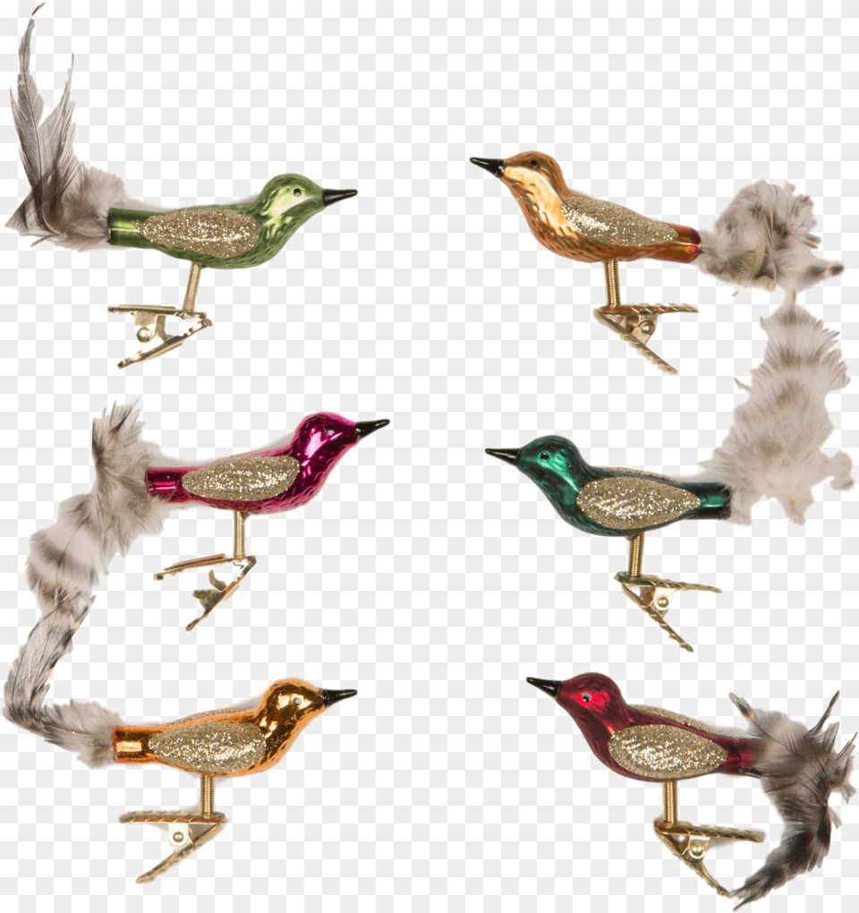 Sass And Belle Set Of 6 Clip On Glass Bird Decorations Glass Bird Christmas Decoration Uk, Animal, Bronze, Finch, Accessories Png