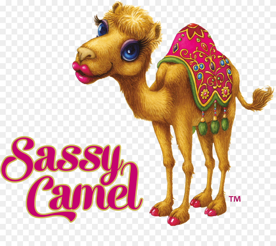 Sassy Camel, Animal, Mammal, Dinosaur, Reptile Free Png