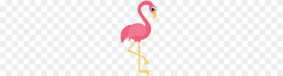 Sassy Flamingo Clipart, Animal, Bird Free Png