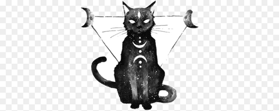 Satan Star Moon Cat Pussy Kitty Black Blackaesthetic Tattoo Cat, Animal, Mammal, Pet, Black Cat Png Image