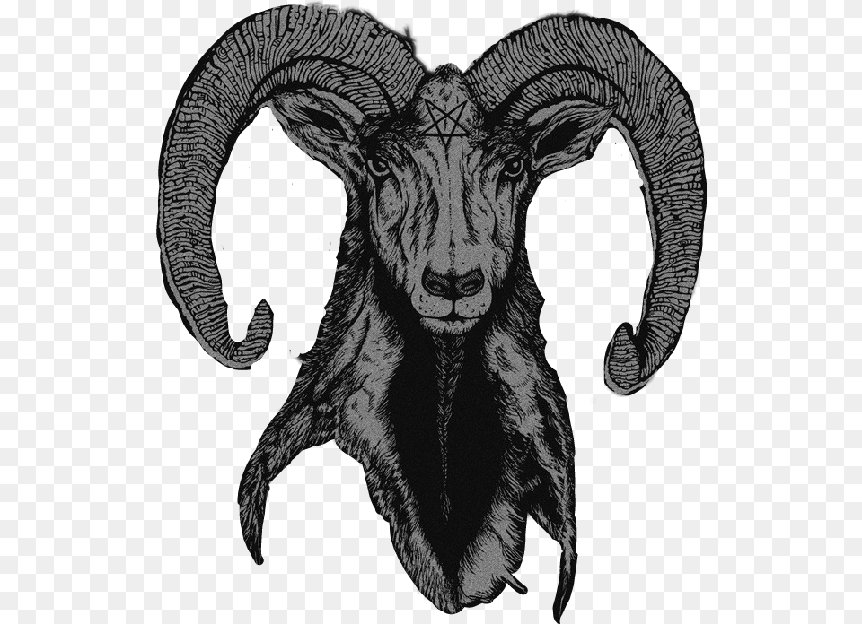 Satanic Ram Horn Satan, Art, Drawing, Animal, Mammal Png Image