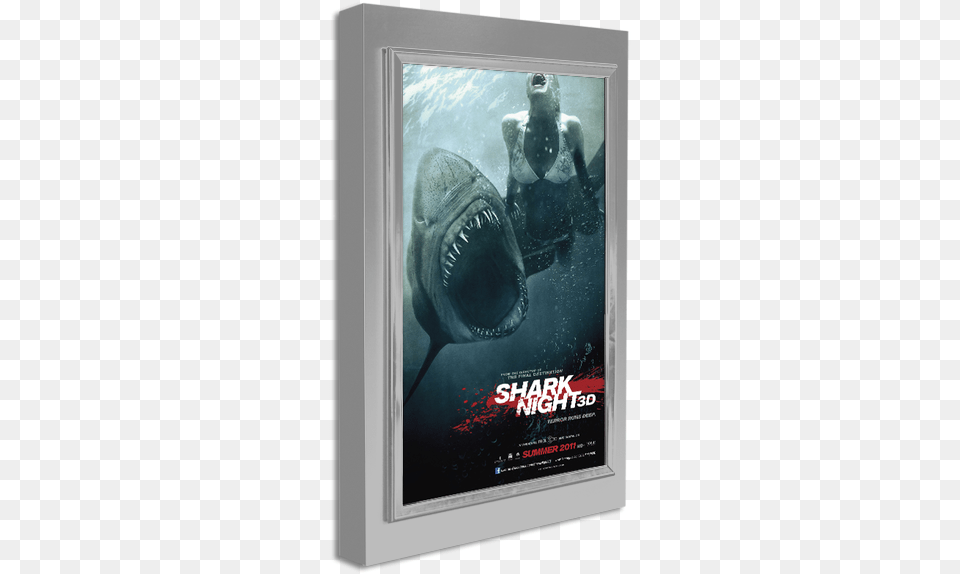 Satin Silver Shark Night, Advertisement, Water, Fish, Animal Free Transparent Png