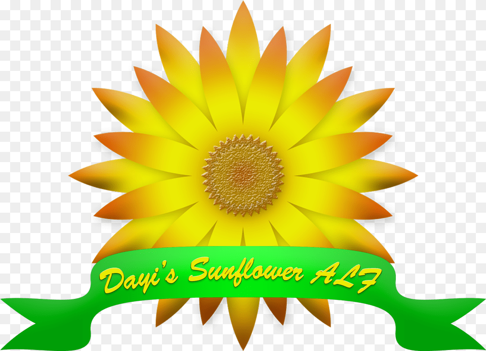 Satisfaccion Garantizada O Te Devolvemos Tu Dinero, Flower, Plant, Sunflower, Daisy Png