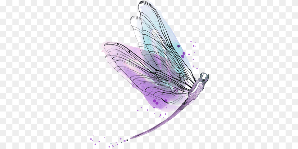 Saturday November 17 2018 All Day Trance Workshop Watercolor Dragonfly Transparent Background, Animal, Person Png