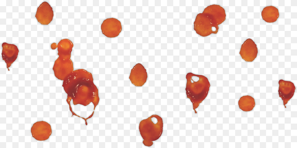 Sauce Splatter Image, Art, Collage, Animal, Bird Png