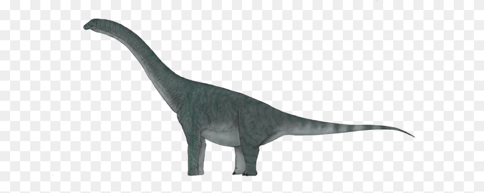 Sauropod Background Tyrannosaurus, Animal, Dinosaur, Reptile, T-rex Png