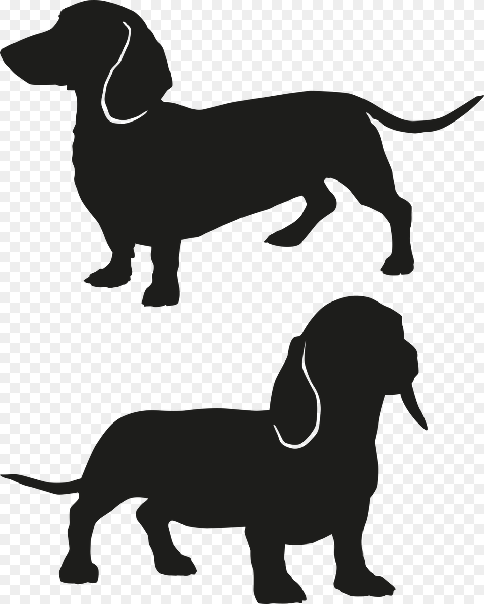 Sausage Dog Dog Sausage Dachshund Silhouette Puppy Small And Long Dog, Stencil, Baby, Person Free Transparent Png