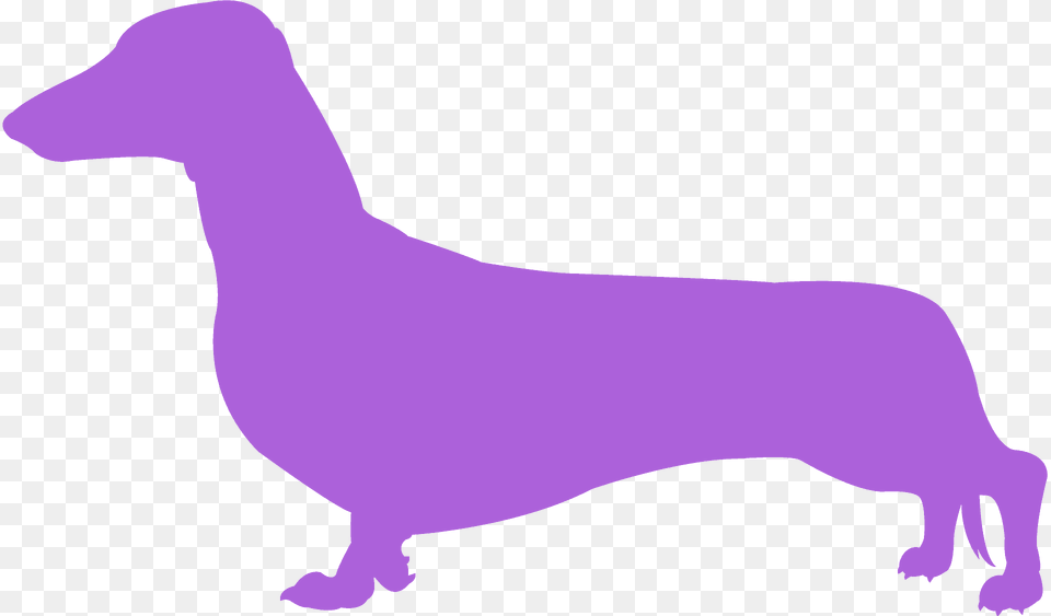 Sausage Dog Silhouette, Animal, Bear, Mammal, Wildlife Free Png Download