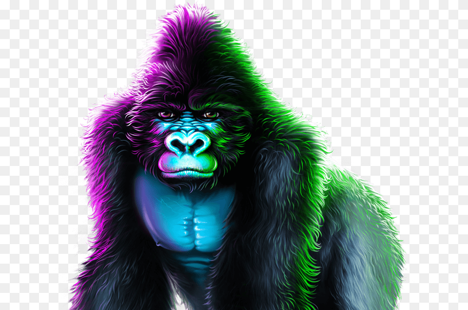 Savage, Animal, Ape, Mammal, Wildlife Png Image