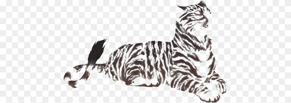 Savage Drawing Tiger Lioden Feline Markings Primal, Baby, Person, Animal, Cat Free Transparent Png