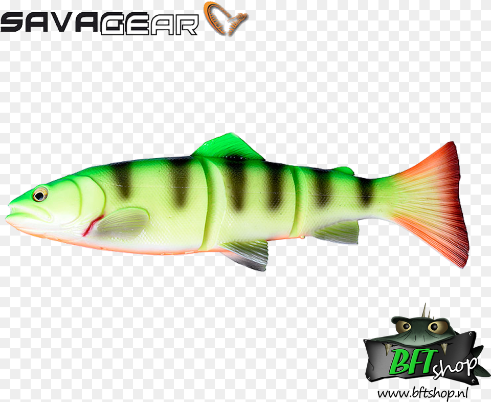 Savage Gear 3d Line Thru Trout Savage Gear Line Thru Brown Trout, Animal, Fish, Sea Life, Perch Png Image