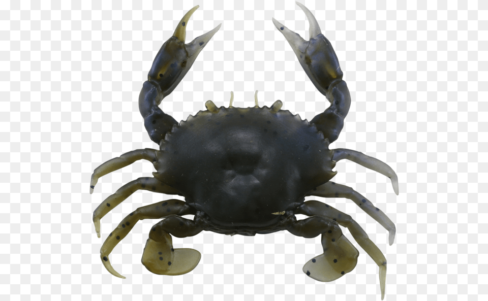 Savage Gear 3d Pvc Crab Soft Plastic Crabdata Freshwater Crab, Food, Seafood, Animal, Invertebrate Png Image