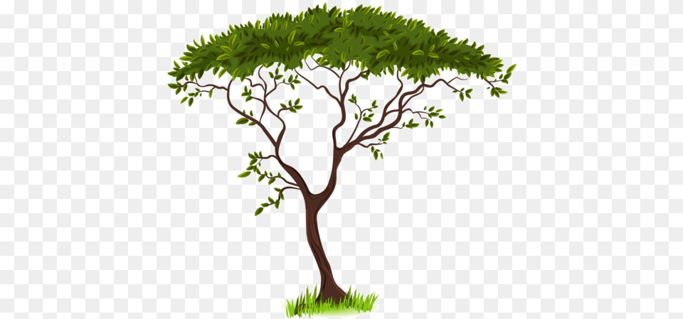 Savanna Silhouette Clip Art Green Tree Download 600 Background Tree Clipart, Plant, Sycamore, Oak, Potted Plant Free Transparent Png