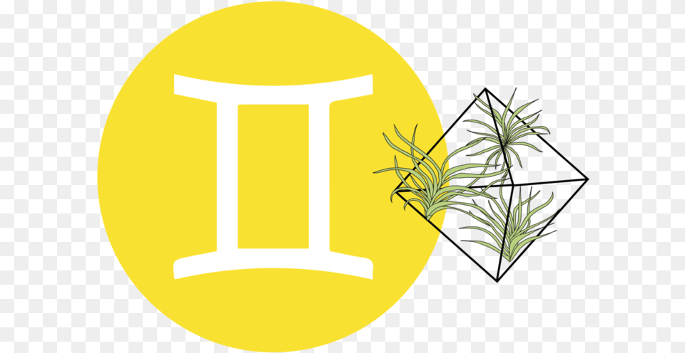 Savannah Pryfogle Emblem Emblem, Grass, Plant, Potted Plant Free Transparent Png