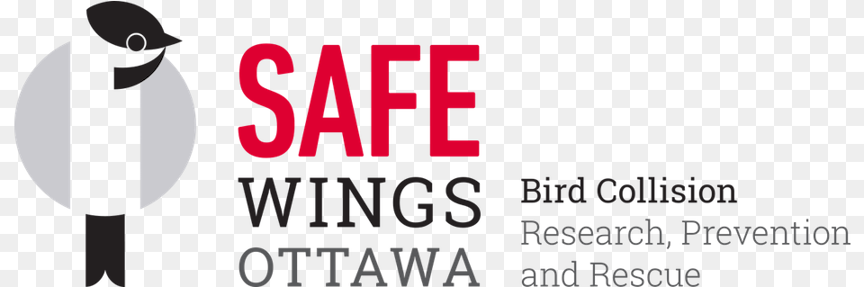 Save An Injured Bird U2013 Safe Wings Ottawa Safe Wings Ottawa Logo, Lighting, Text, Head, Person Free Transparent Png