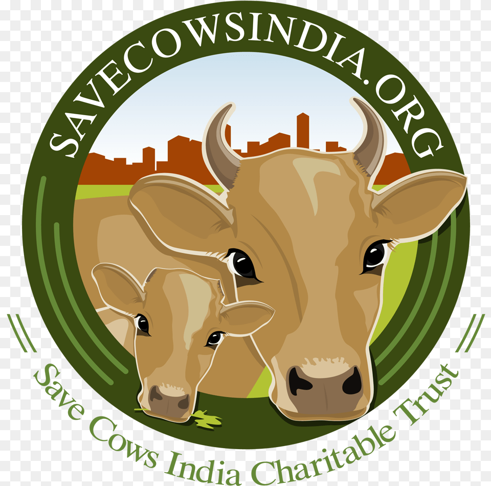 Save Cows India Charitable Trust Dairy Cow, Animal, Cattle, Livestock, Mammal Free Png