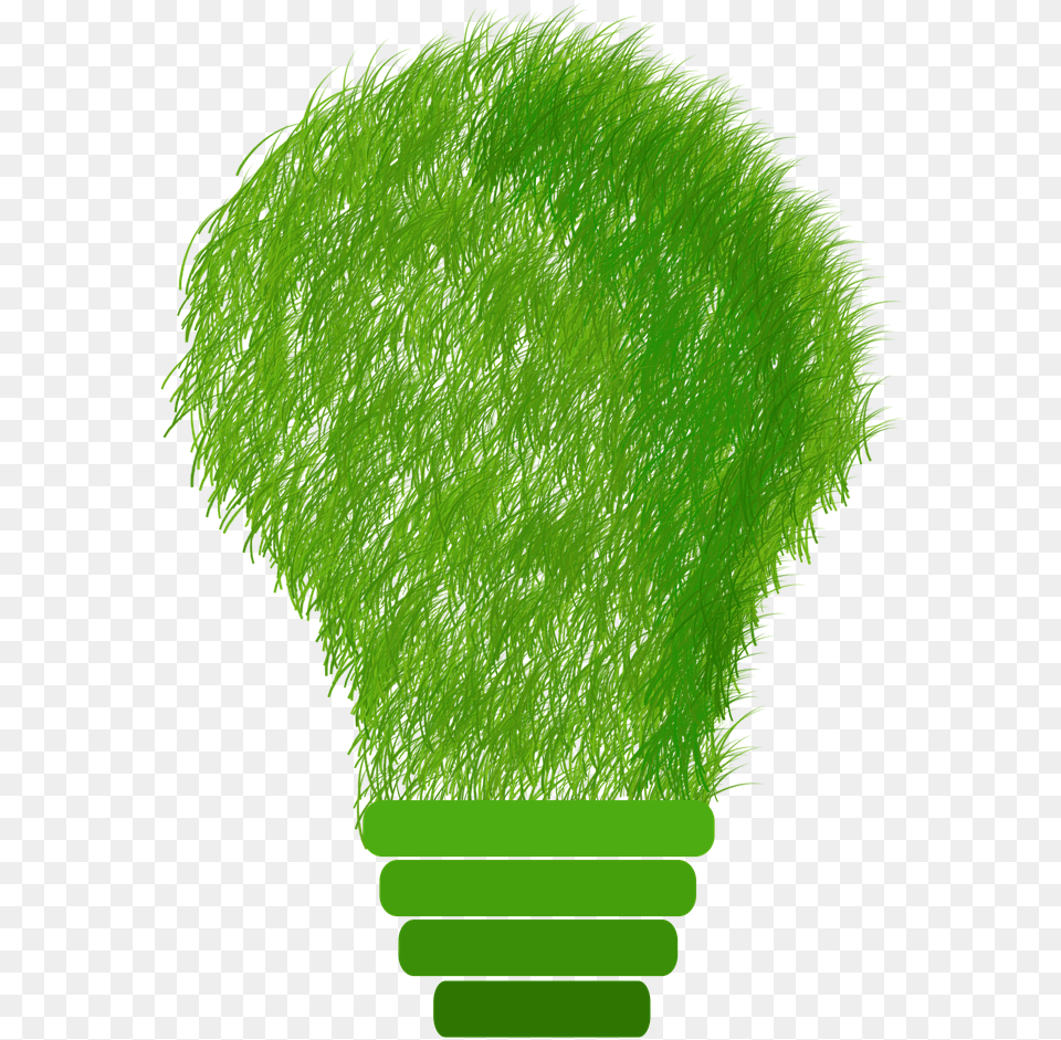 Save Electricity Transparent Sustainable Design, Green, Light, Plant, Moss Free Png