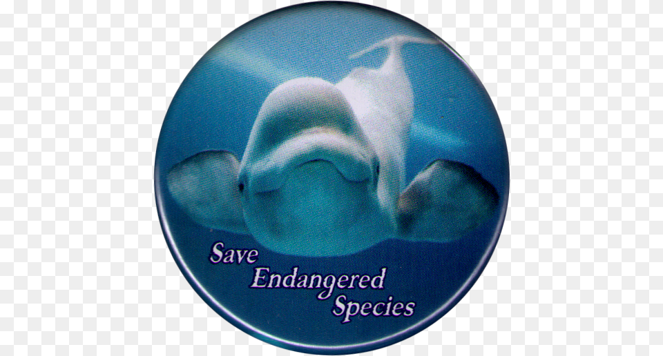 Save Endangered Species Save Endangered Animals Logo, Animal, Sea Life, Beluga Whale, Mammal Free Transparent Png