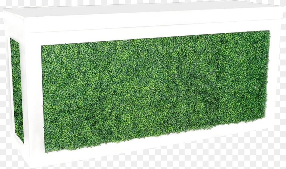 Save Lawn, Plant, Fence, Hedge, Potted Plant Free Transparent Png