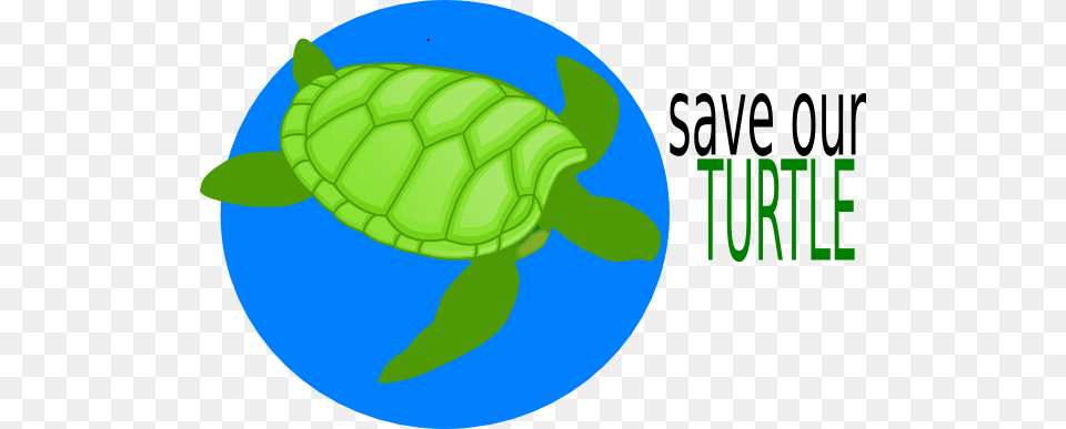 Save Our Turtle Clip Art, Animal, Reptile, Sea Life, Tortoise Free Png