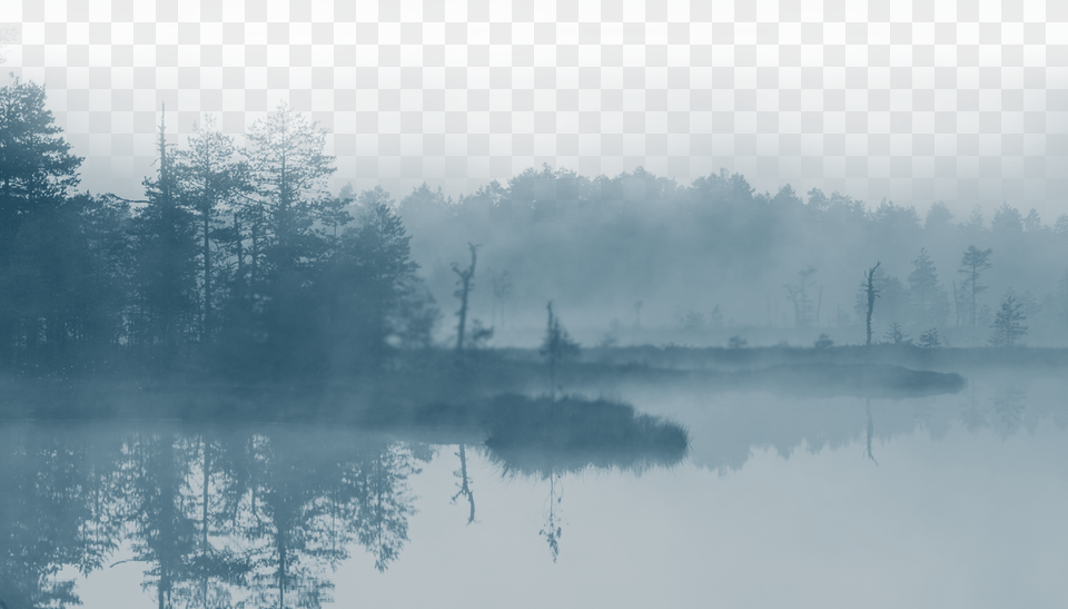 Save Our Wetlands Mist, Fog, Nature, Outdoors, Weather Png
