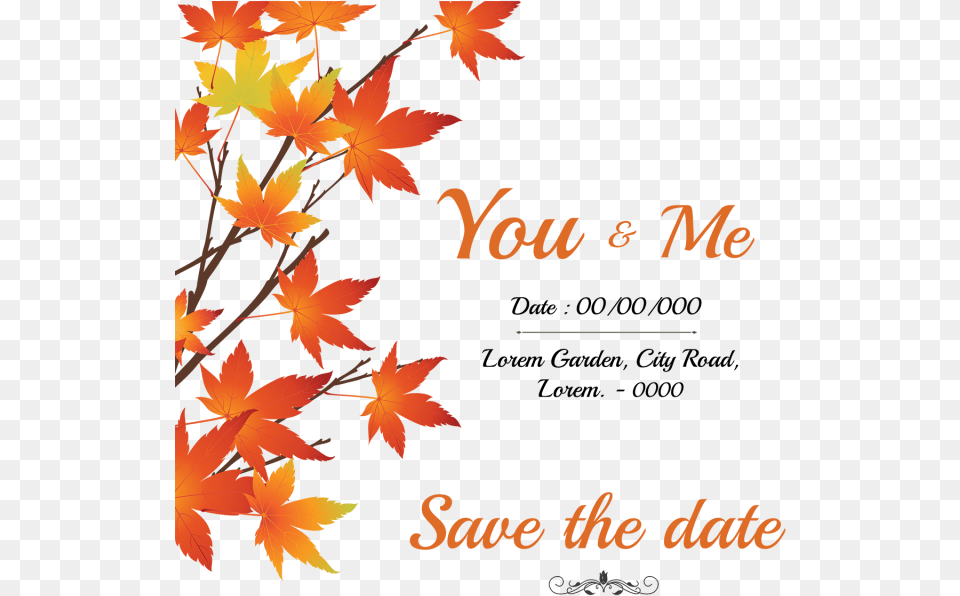 Save The Date Frame, Leaf, Plant, Tree, Maple Free Transparent Png