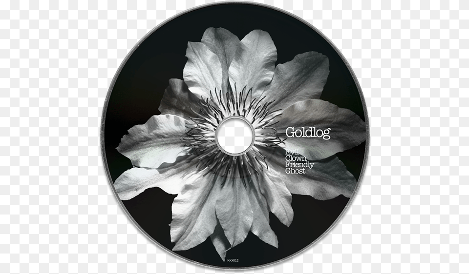 Save To Collection Petunia, Disk, Dvd Free Png