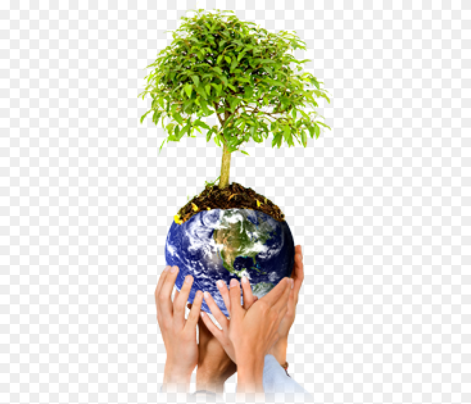 Save Tree, Potted Plant, Plant, Sphere, Adult Free Png Download