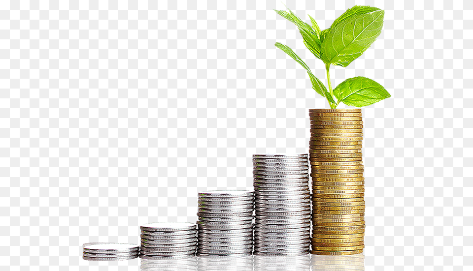 Saving And Investment, Plant, Coin, Money Free Png Download
