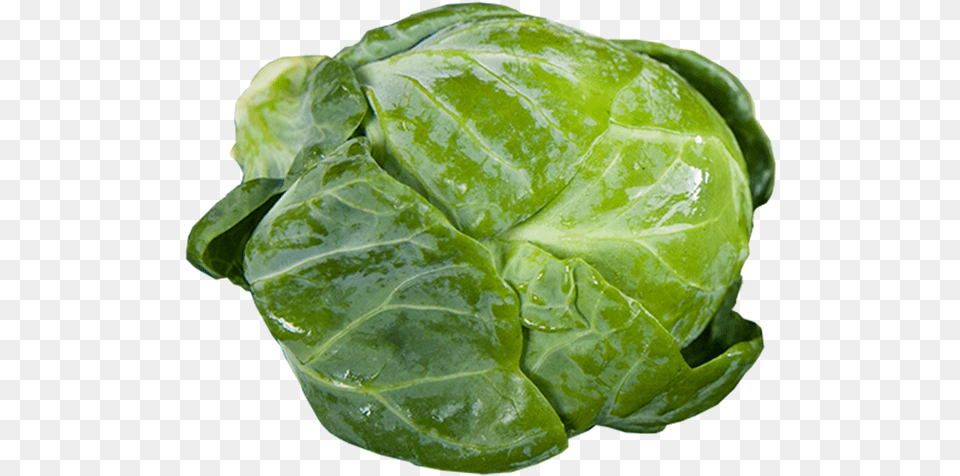 Savoy Cabbage Brussel Sprout Background, Food, Plant, Produce, Leafy Green Vegetable Free Transparent Png