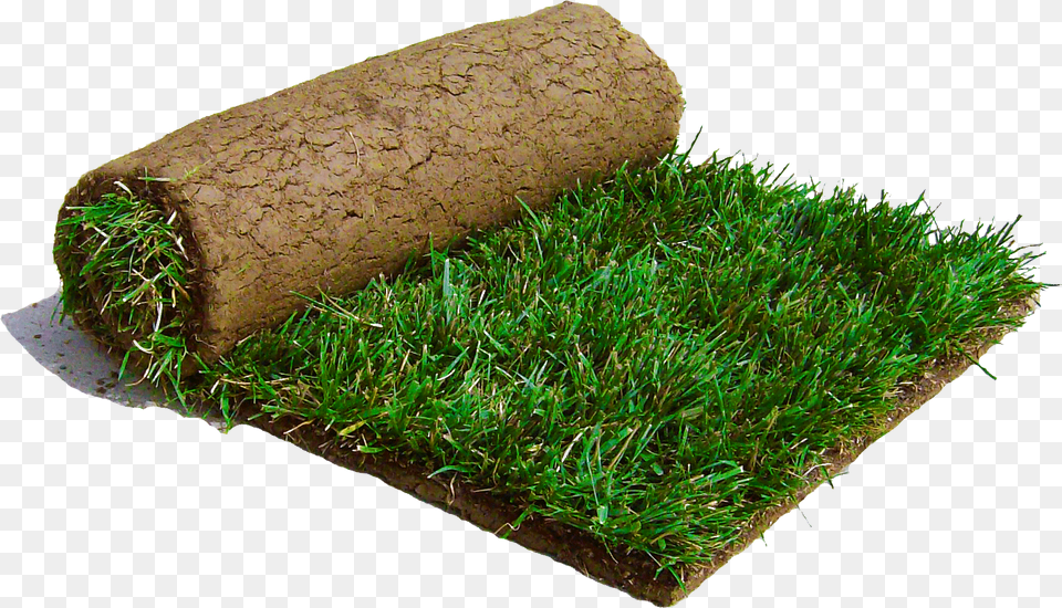 Saw A Patch Of Sod Laying On The Road Sod Grass, Soil, Lawn, Moss, Plant Free Png