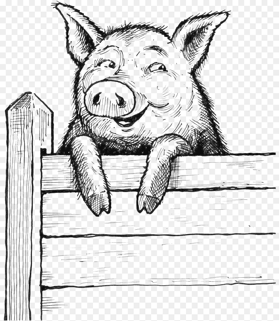 Saxbys Pig On Fence Pig On Fence Drawing, Accessories, Art, Ornament, Animal Free Png