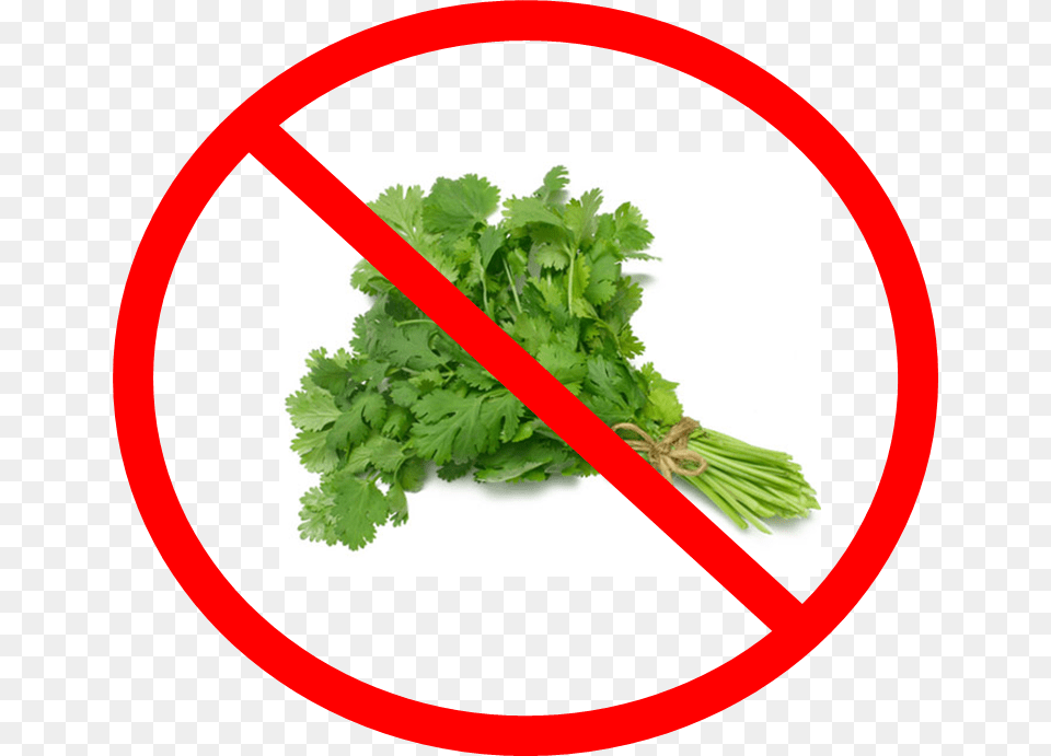 Say No To Cilantro Coriander Leaves, Herbs, Plant, Parsley Free Png Download