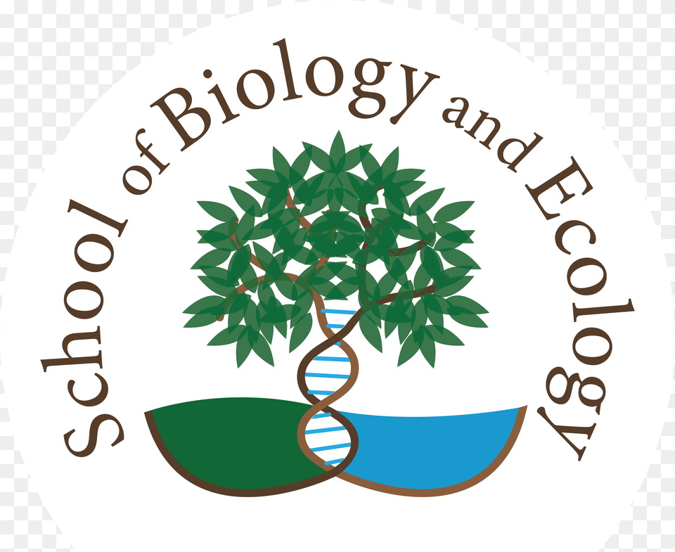 Sbe Logo And Tree Image Umaine School Of Biology And Ecology, Herbal, Herbs, Leaf, Plant Free Png Download