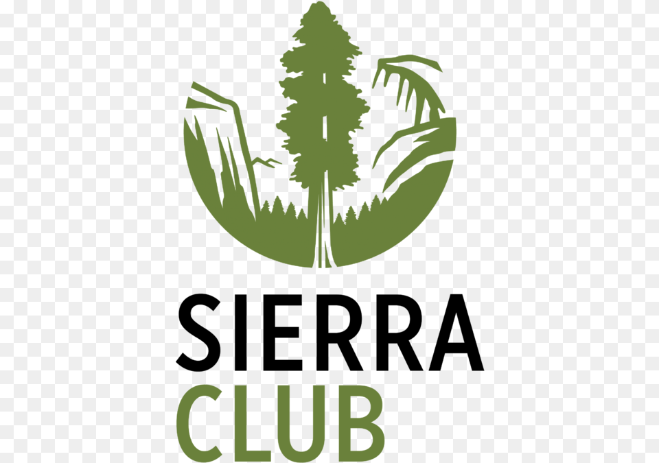 Sc Logo Smaller, Vegetation, Plant, Tree, Green Free Transparent Png